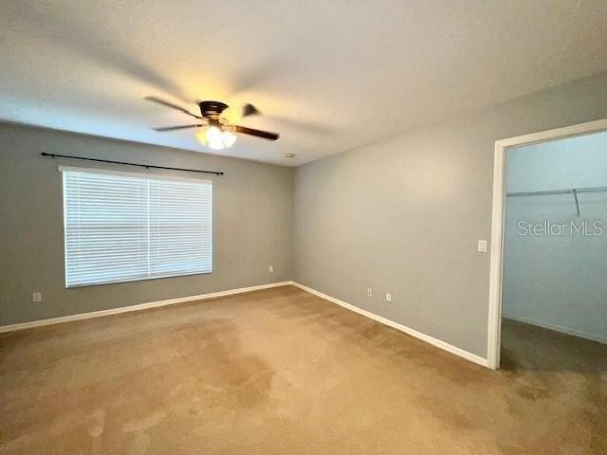 Picture of Home For Rent in Oviedo, Florida, United States