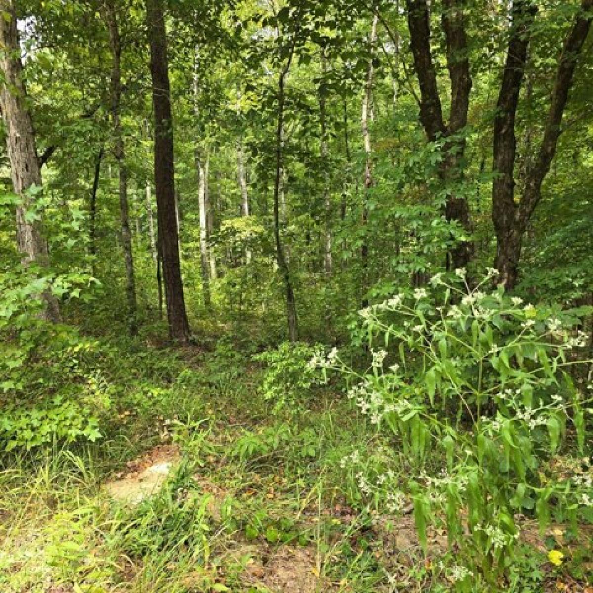 Picture of Residential Land For Sale in Cataula, Georgia, United States