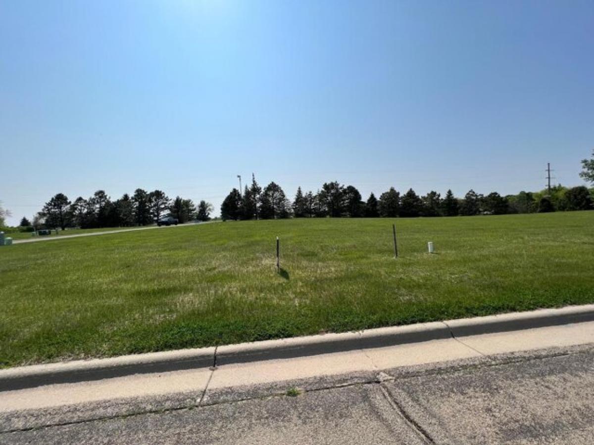 Picture of Residential Land For Sale in Albert Lea, Minnesota, United States