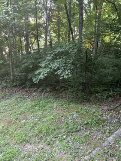 Residential Land For Sale in Somerset, Kentucky