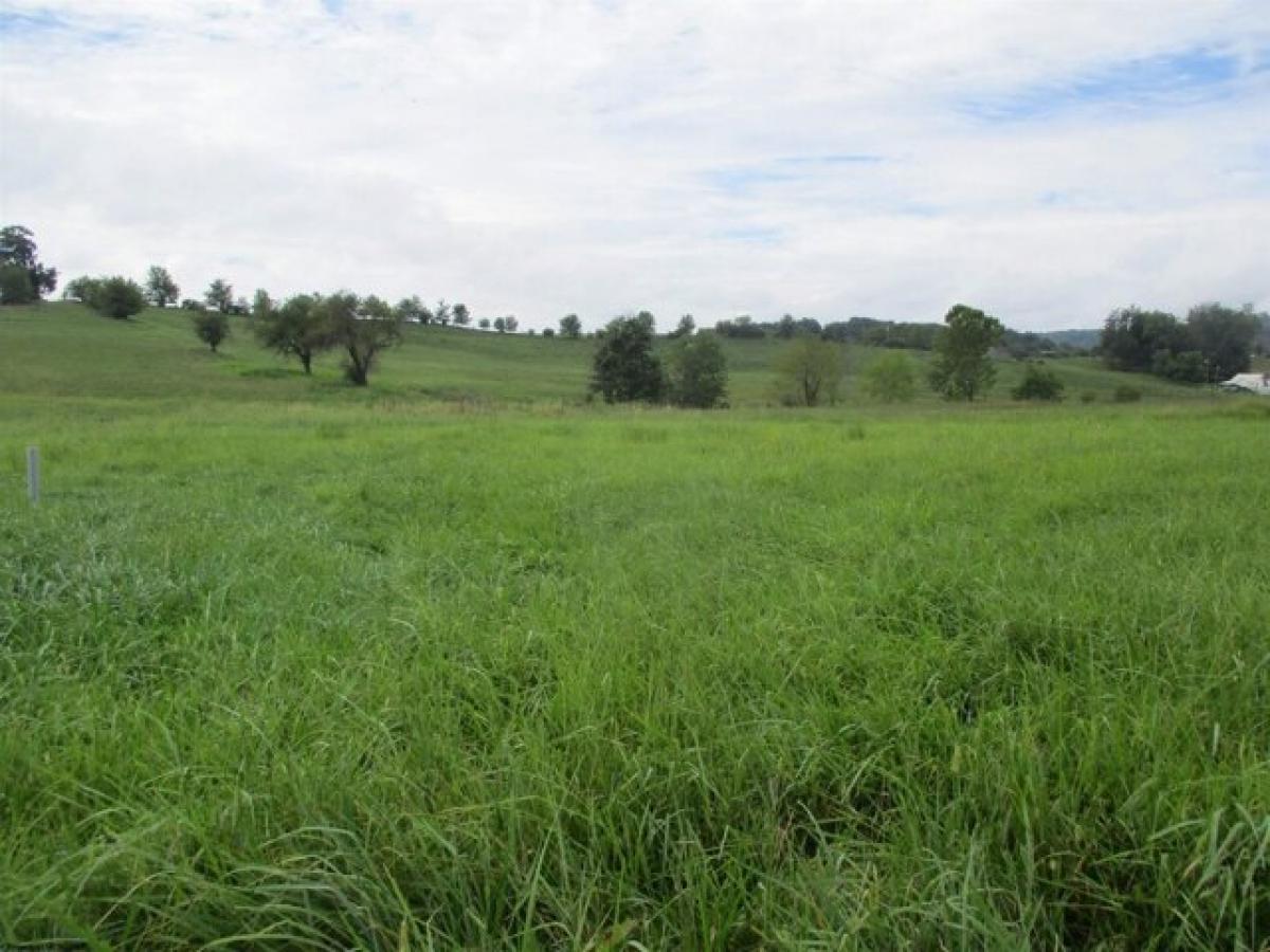 Picture of Residential Land For Sale in Buckhannon, West Virginia, United States