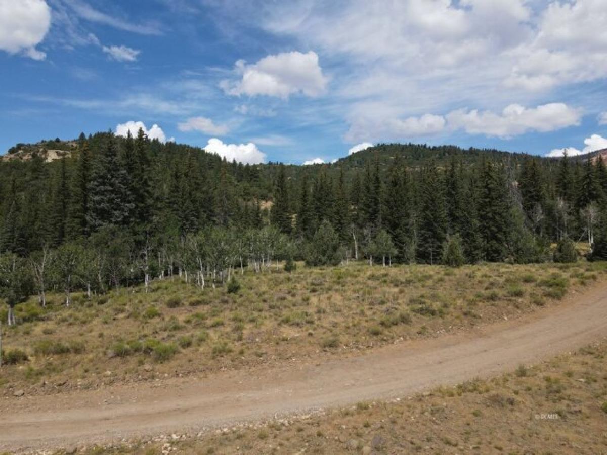 Picture of Residential Land For Sale in Duck Creek Village, Utah, United States