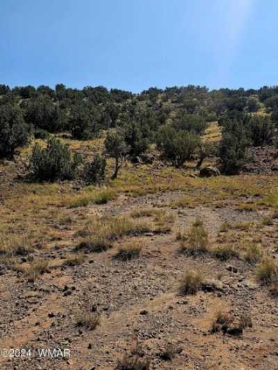 Residential Land For Sale in Saint Johns, Arizona