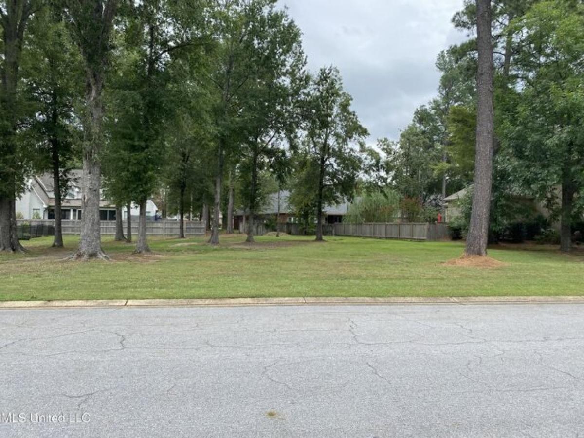 Picture of Residential Land For Sale in Brandon, Mississippi, United States