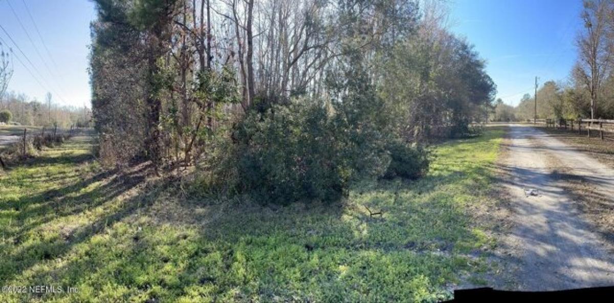 Picture of Residential Land For Sale in Middleburg, Florida, United States