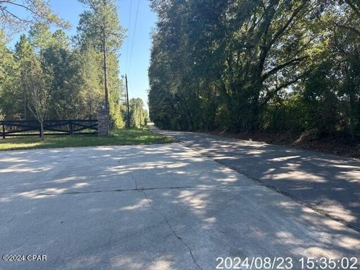 Picture of Residential Land For Sale in Vernon, Florida, United States