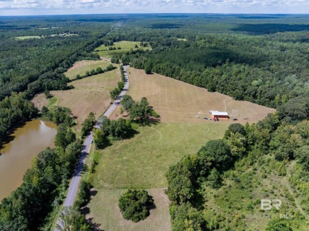 Picture of Residential Land For Sale in Perdido, Alabama, United States