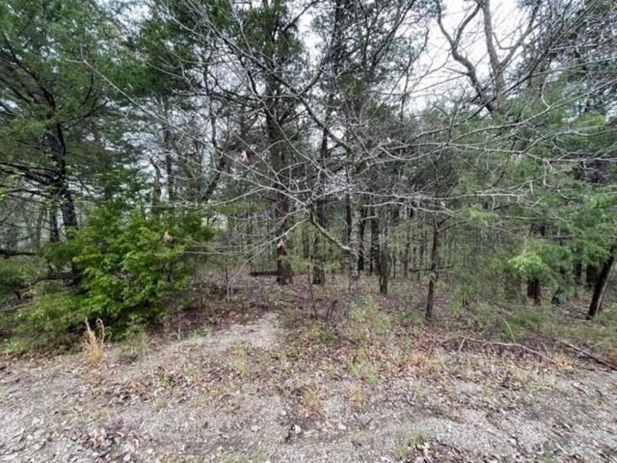 Picture of Residential Land For Rent in Holiday Island, Arkansas, United States