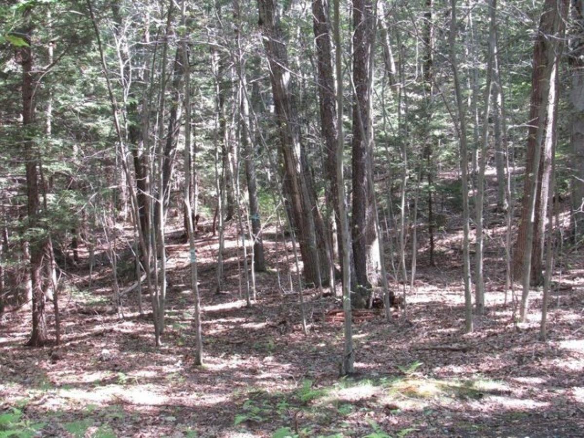 Picture of Residential Land For Sale in Chester, Massachusetts, United States