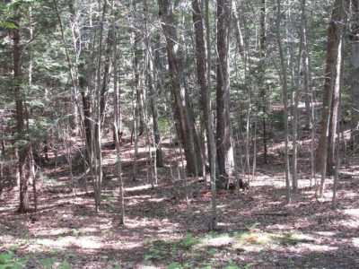 Residential Land For Sale in 