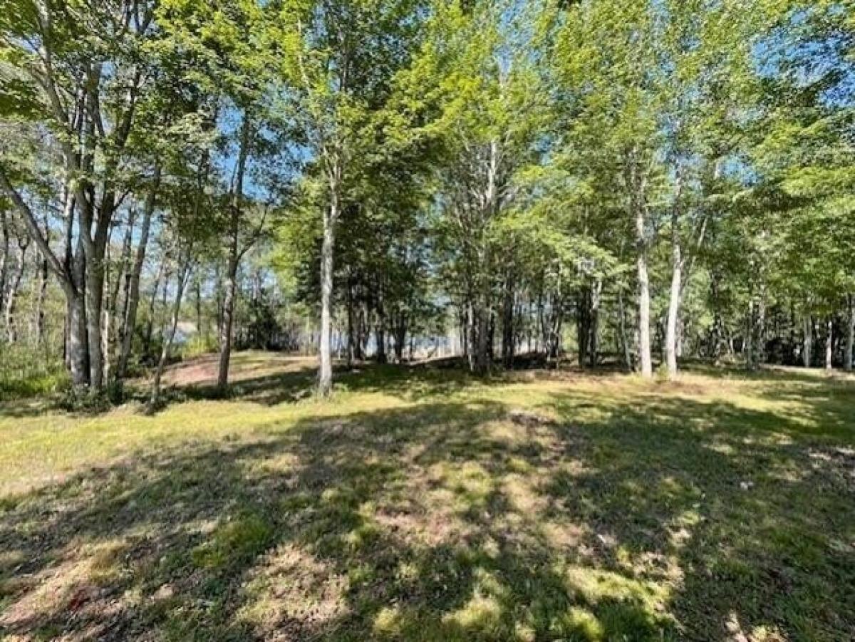 Picture of Residential Land For Sale in Addison, Maine, United States