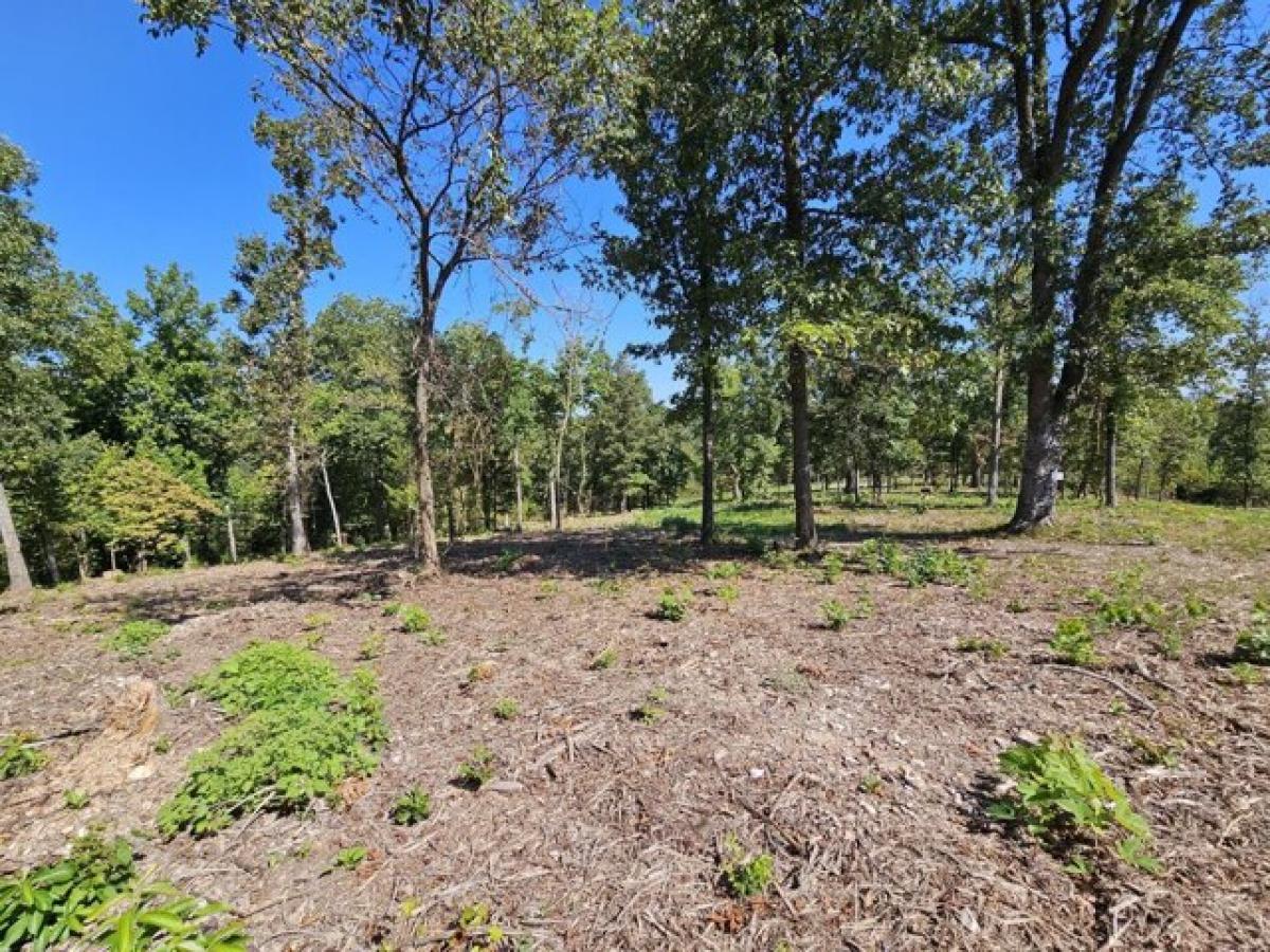 Picture of Residential Land For Sale in Anderson, Missouri, United States