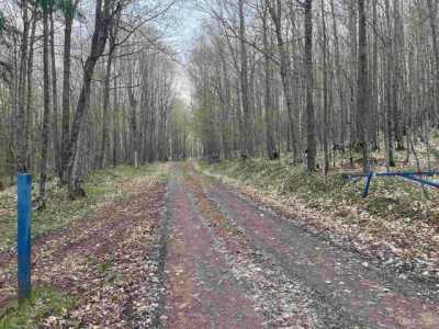 Residential Land For Sale in Ironwood, Michigan