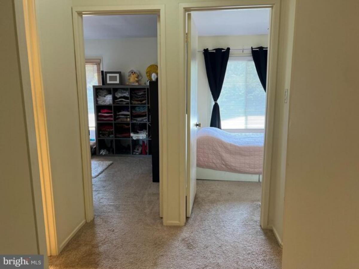 Picture of Home For Rent in Montgomery Village, Maryland, United States