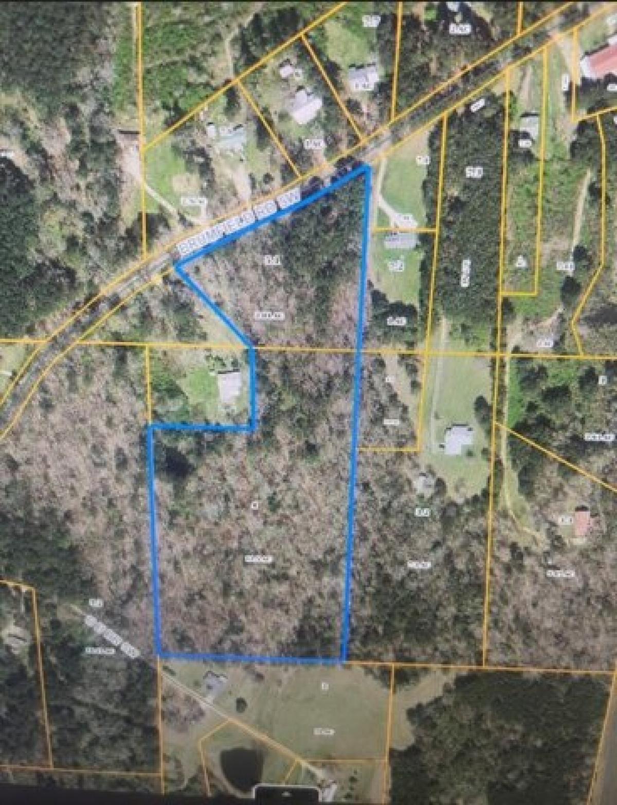 Picture of Residential Land For Sale in Summit, Mississippi, United States