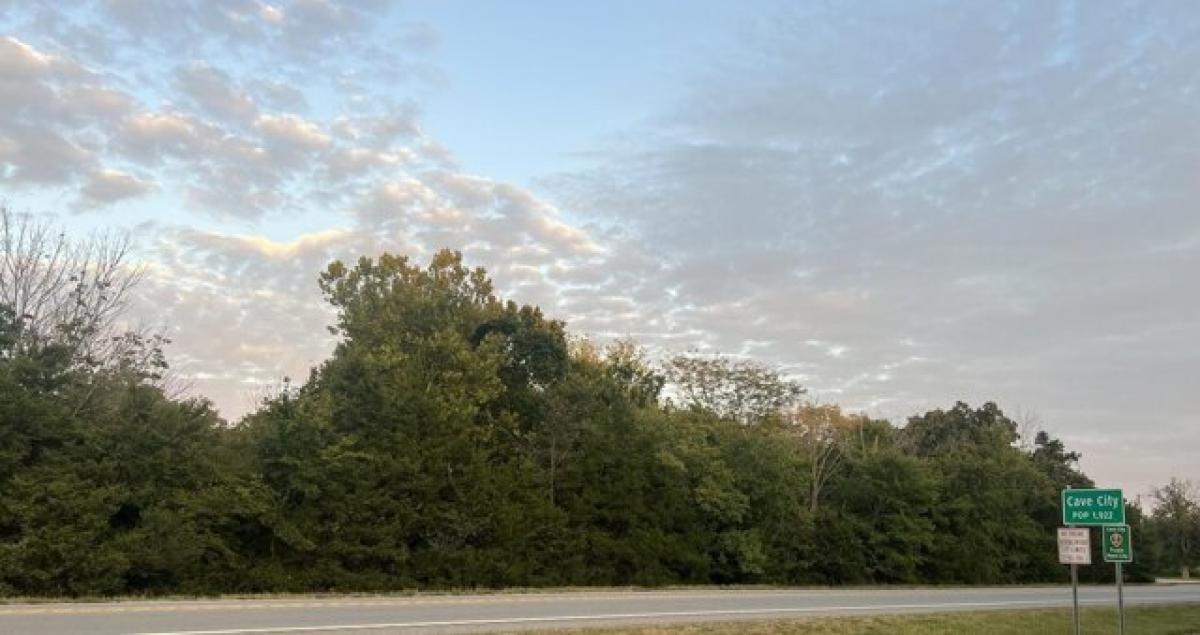 Picture of Residential Land For Sale in Cave City, Arkansas, United States