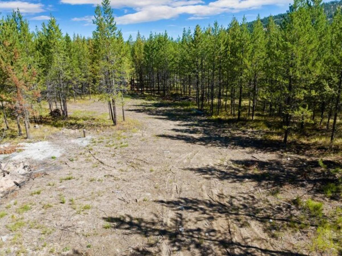 Picture of Residential Land For Sale in Marion, Montana, United States