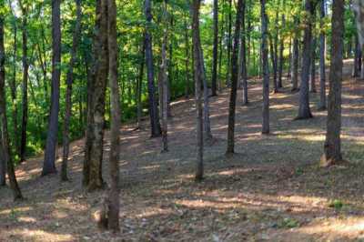 Residential Land For Sale in 