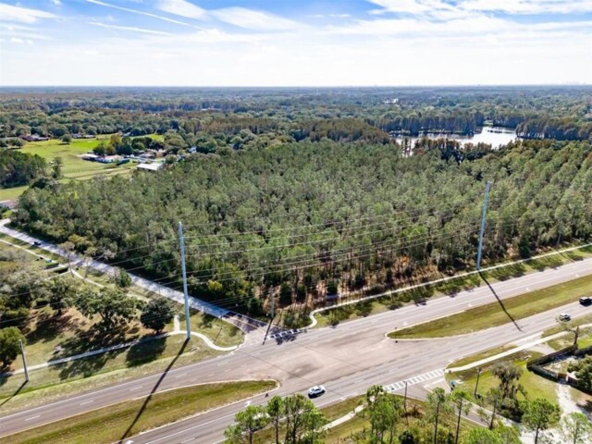 Picture of Residential Land For Sale in Lutz, Florida, United States