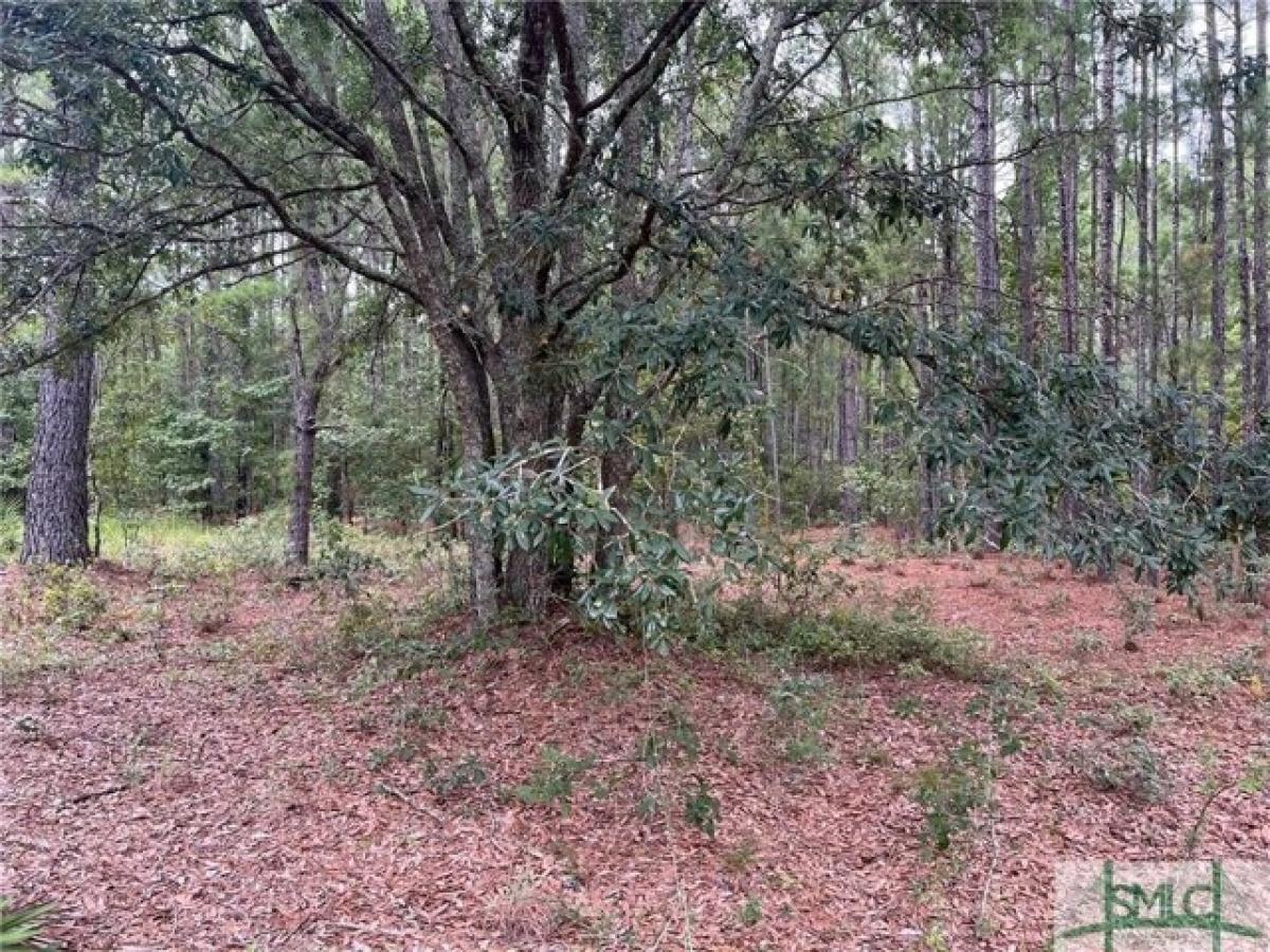 Picture of Residential Land For Sale in Guyton, Georgia, United States