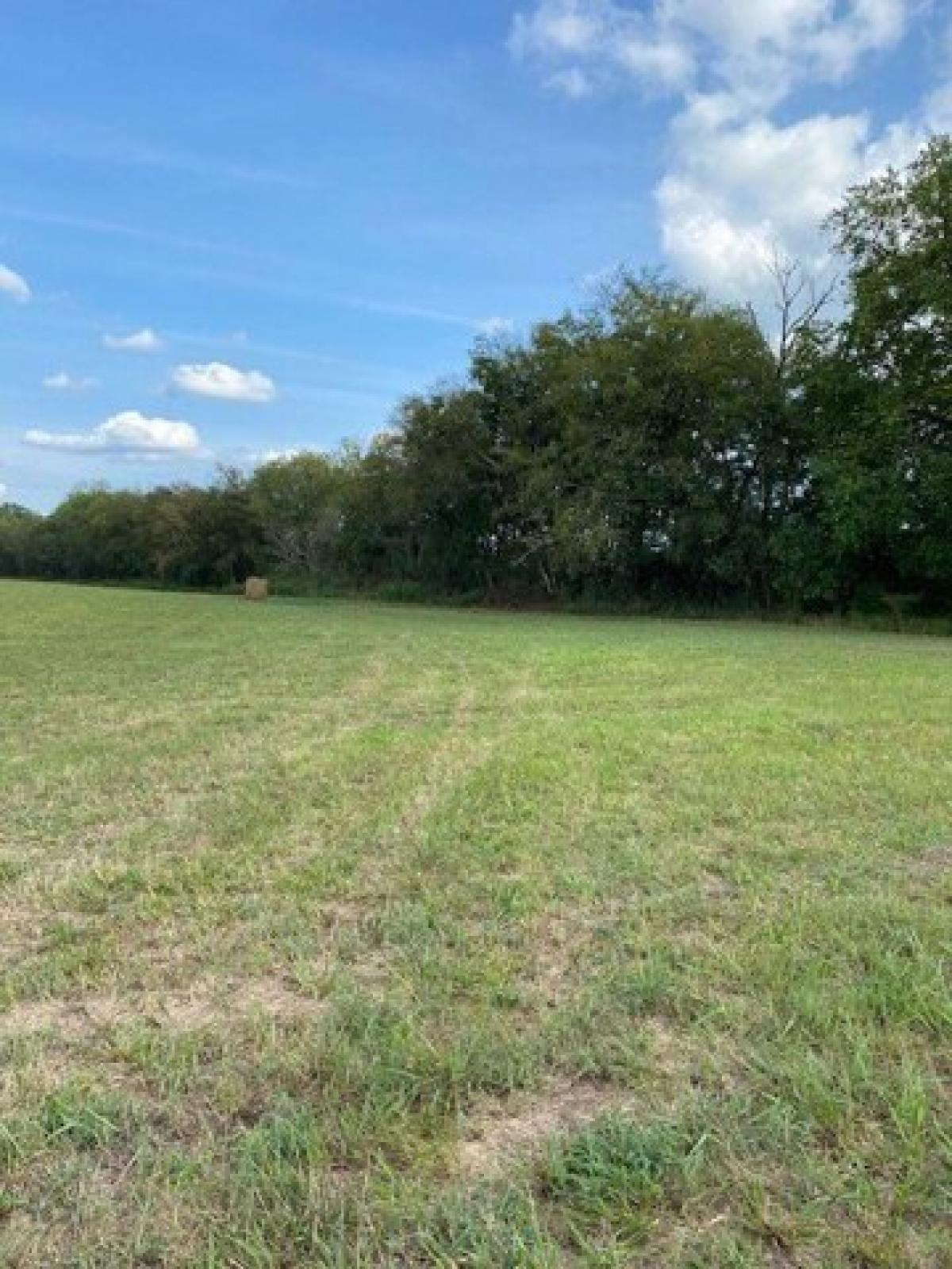 Picture of Residential Land For Sale in Fayetteville, Tennessee, United States