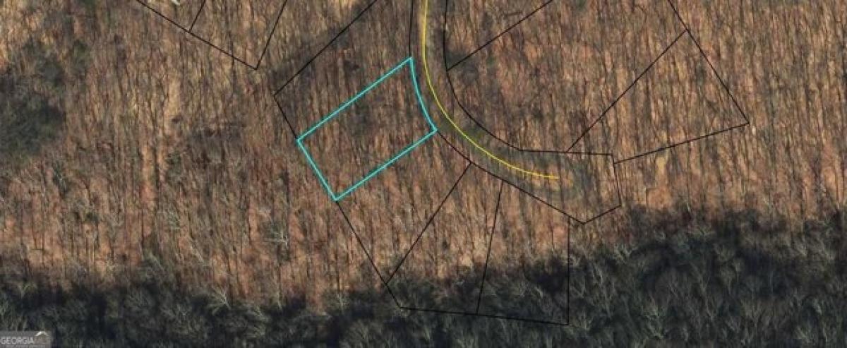 Picture of Residential Land For Sale in Jasper, Georgia, United States