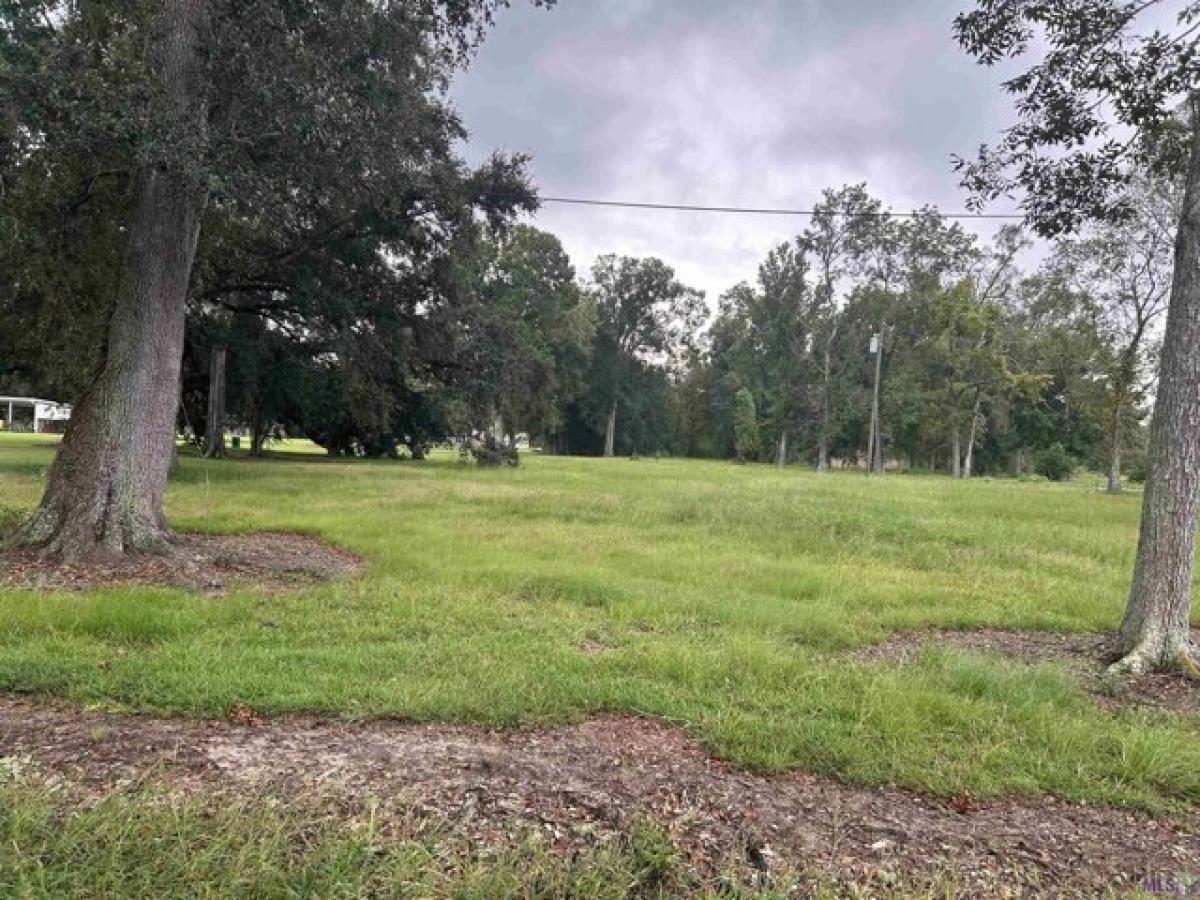 Picture of Residential Land For Sale in Gonzales, Louisiana, United States