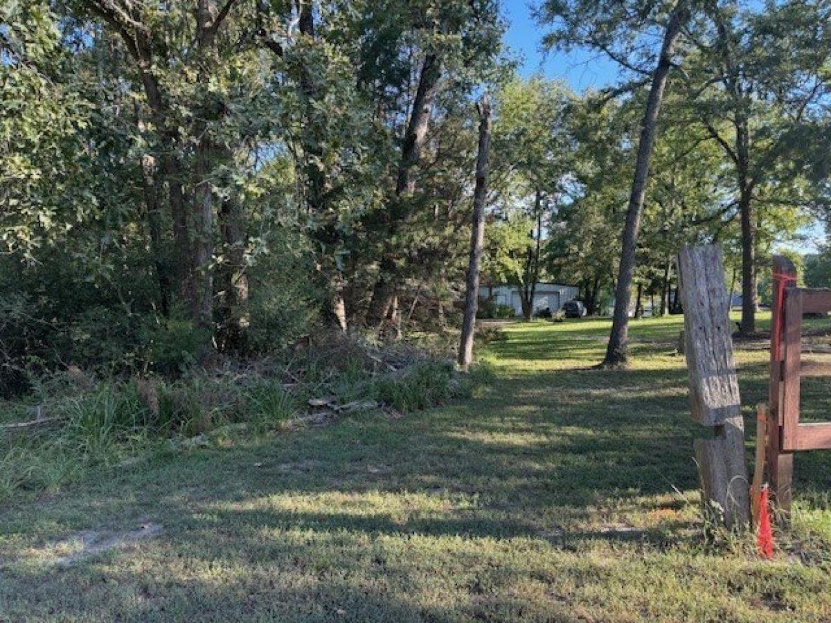 Picture of Residential Land For Sale in Trinity, Texas, United States