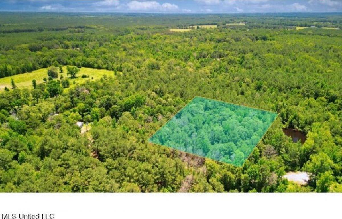 Picture of Residential Land For Sale in Lena, Mississippi, United States