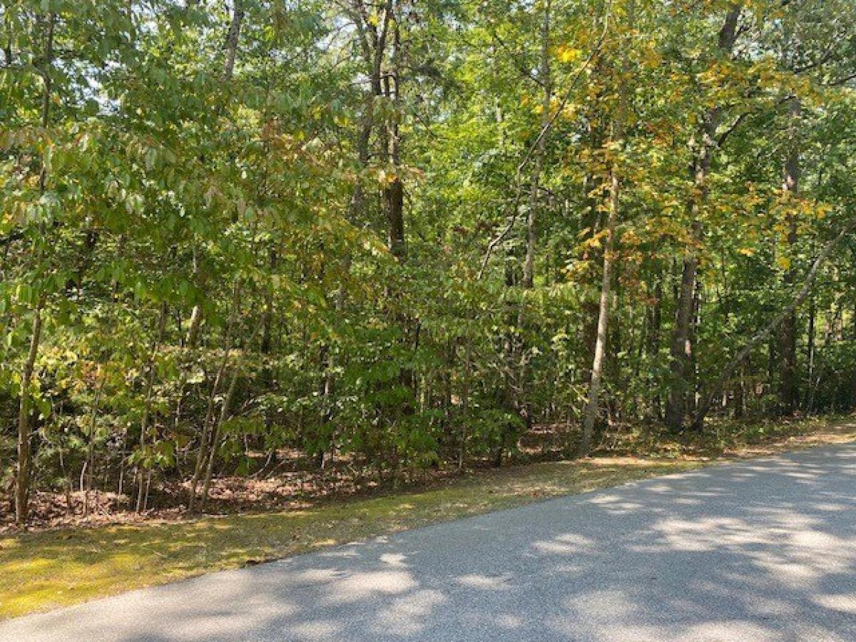 Picture of Residential Land For Sale in Salem, South Carolina, United States