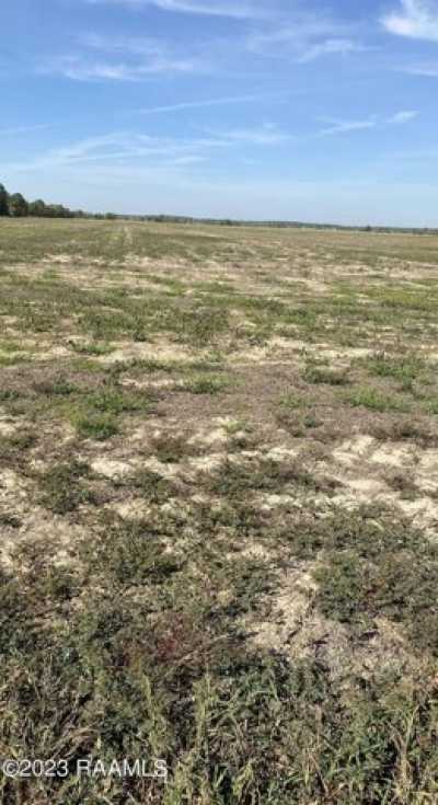 Residential Land For Sale in Eunice, Louisiana