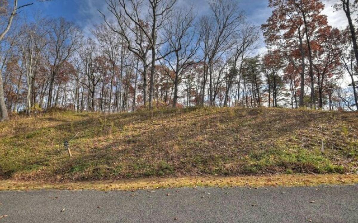 Picture of Residential Land For Sale in Talking Rock, Georgia, United States