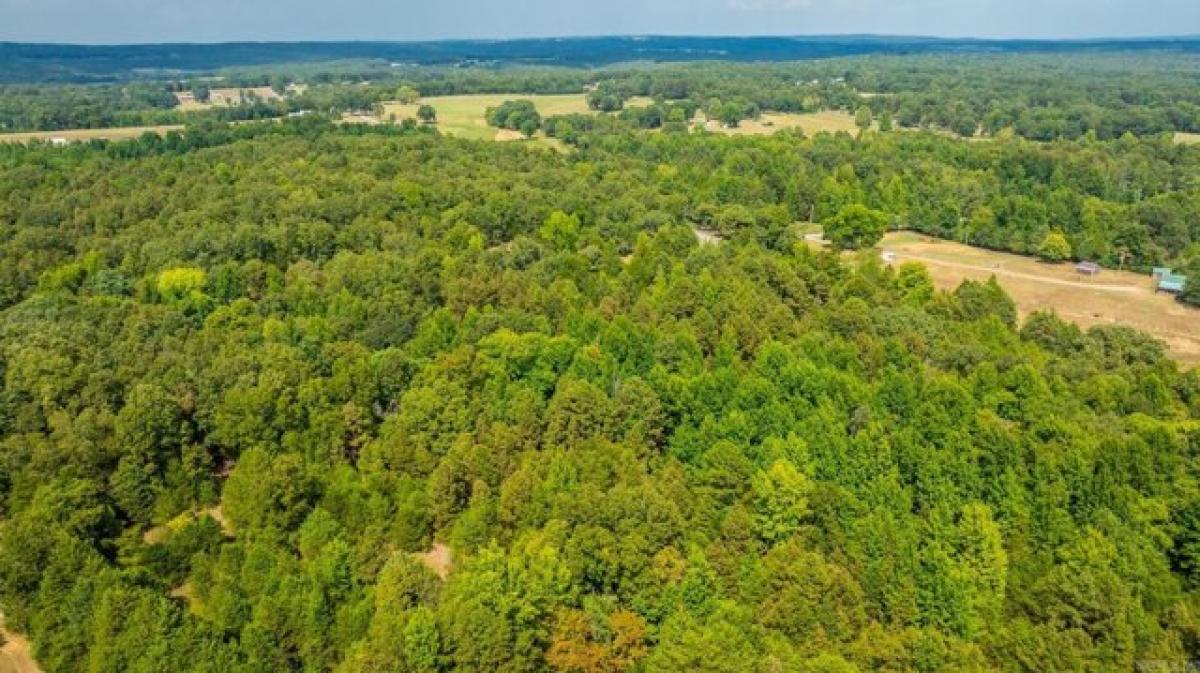 Picture of Residential Land For Sale in Damascus, Arkansas, United States