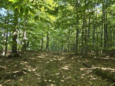 Residential Land For Sale in 