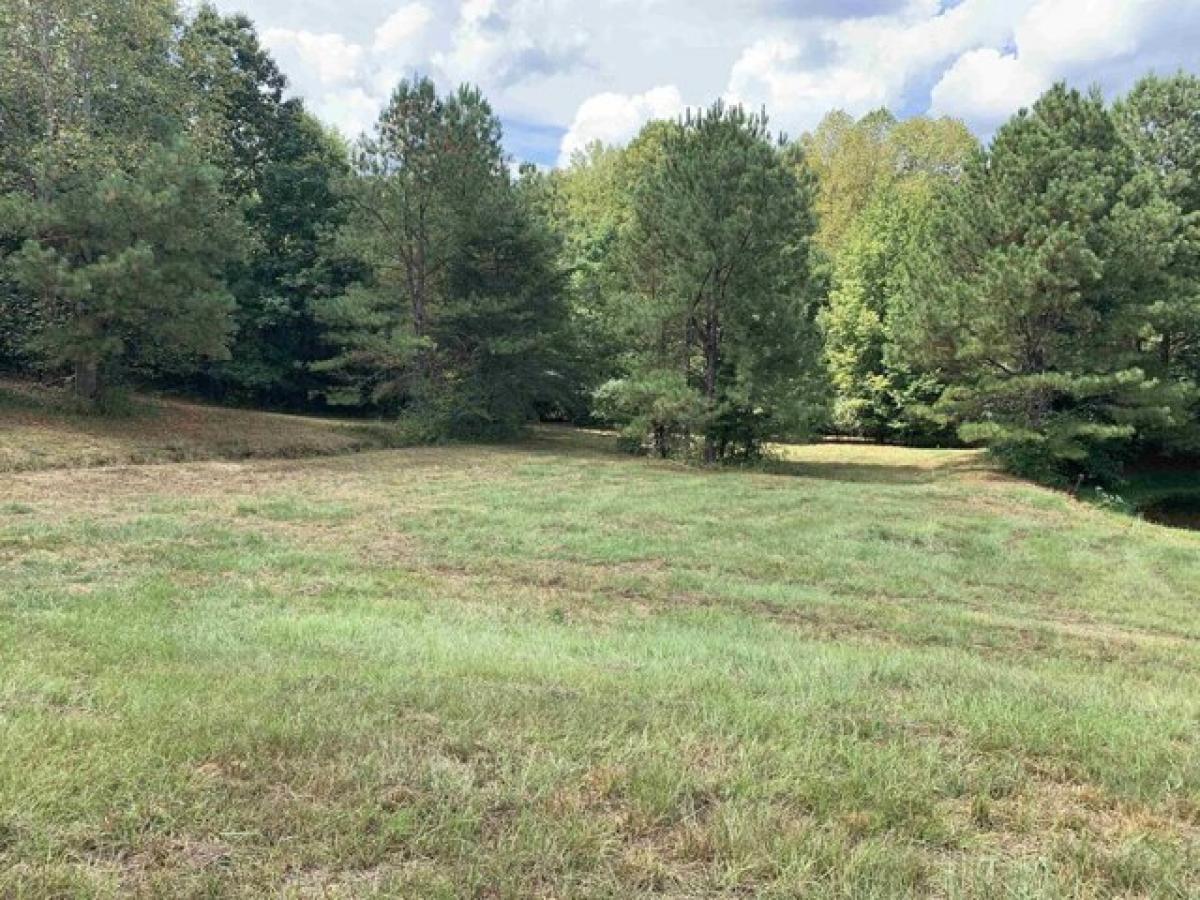 Picture of Residential Land For Sale in Haleyville, Alabama, United States