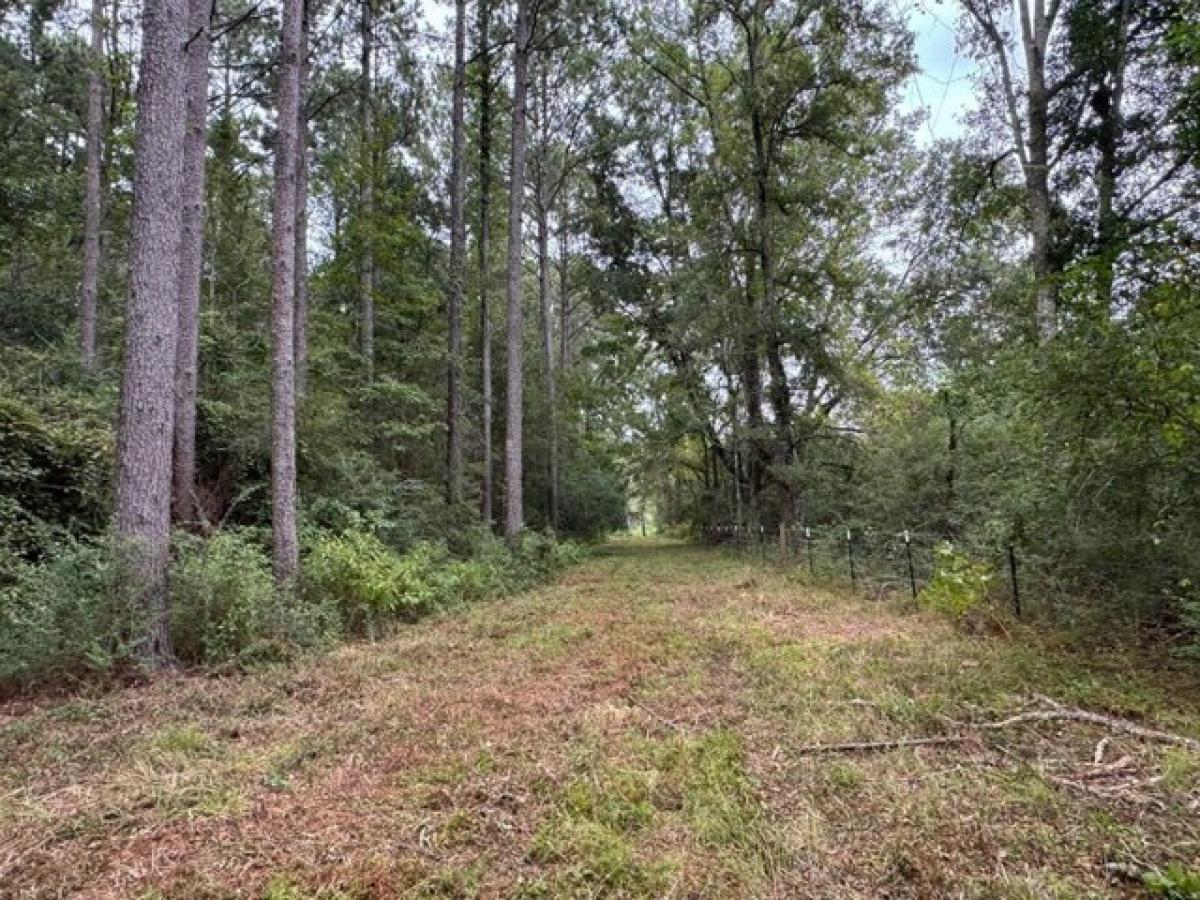 Picture of Residential Land For Sale in Magnolia, Mississippi, United States