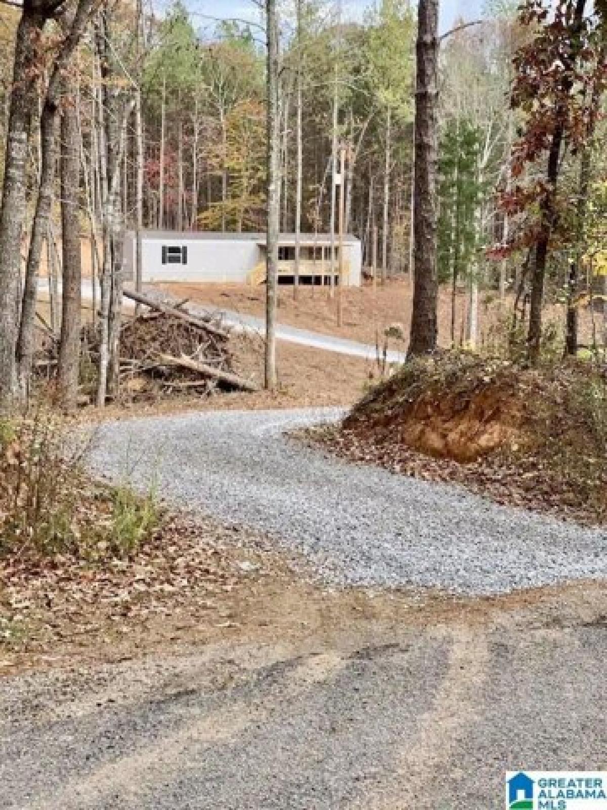 Picture of Home For Sale in Lineville, Alabama, United States