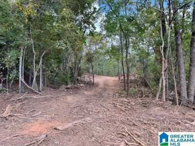 Residential Land For Sale in Roanoke, Alabama