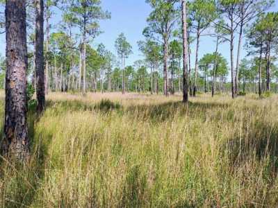 Residential Land For Sale in Coden, Alabama