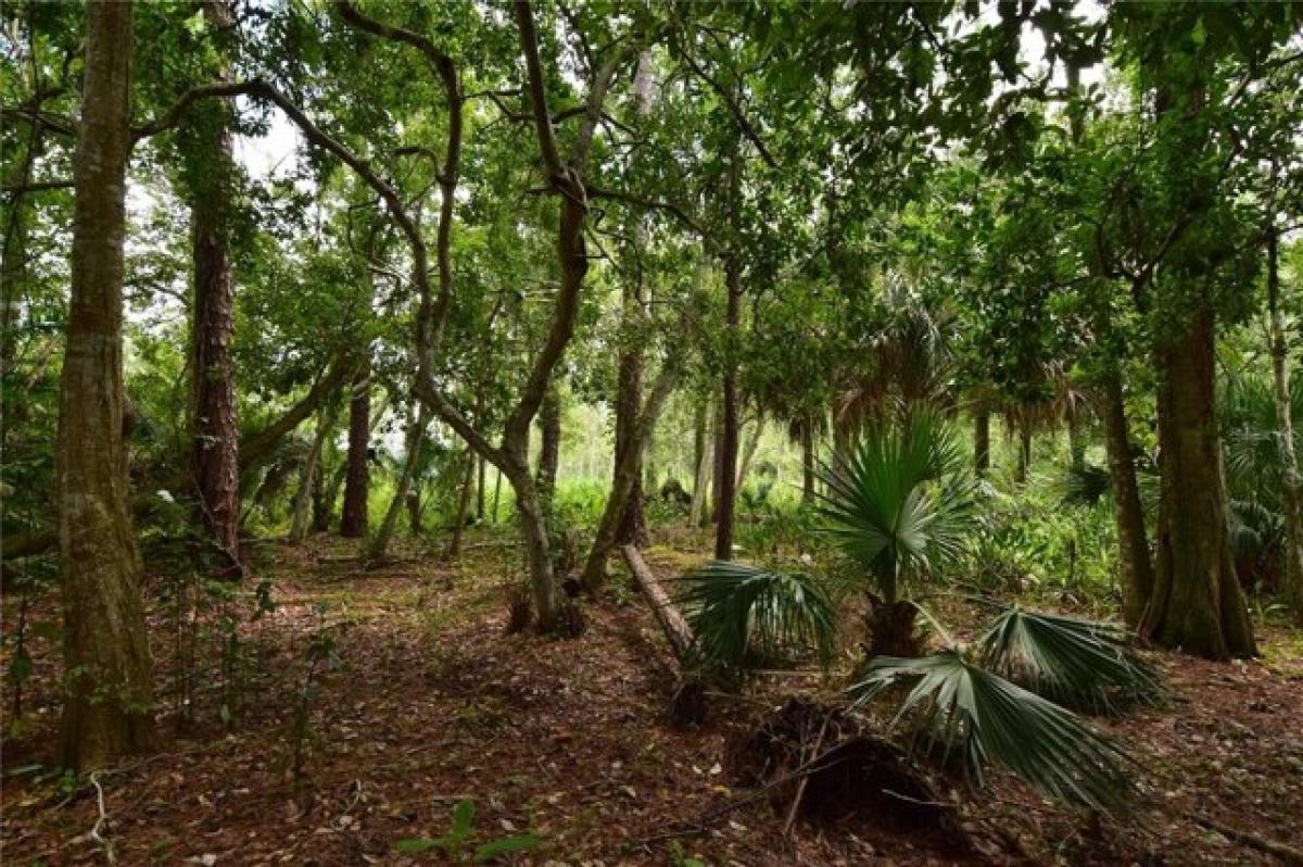 Picture of Residential Land For Sale in Longwood, Florida, United States