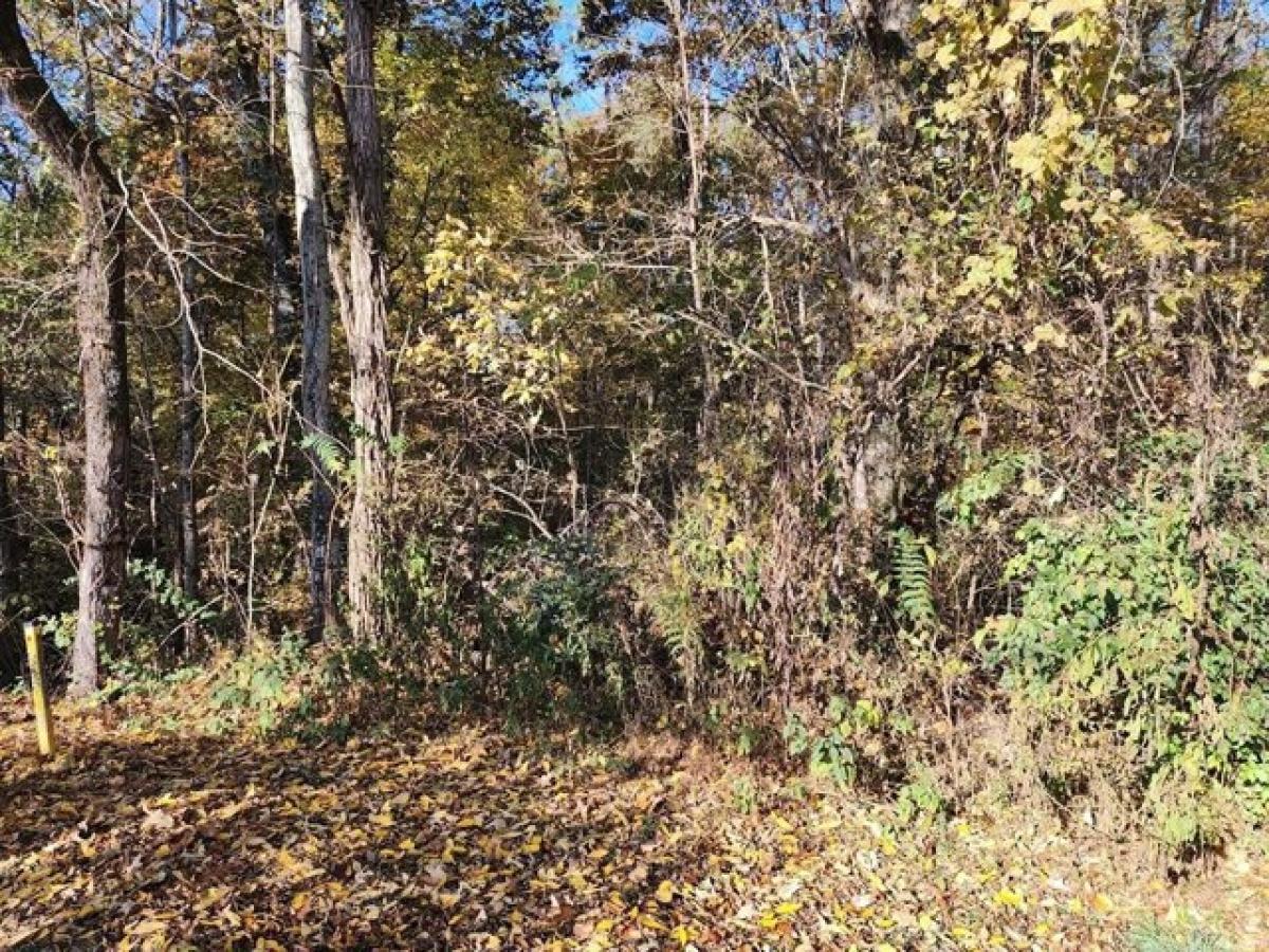 Picture of Residential Land For Sale in Dandridge, Tennessee, United States