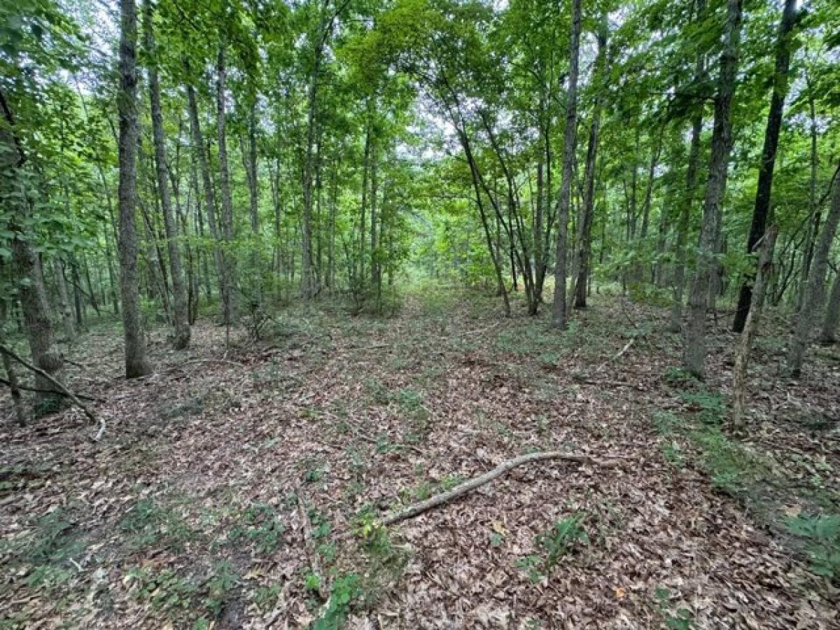 Picture of Residential Land For Sale in Drury, Missouri, United States