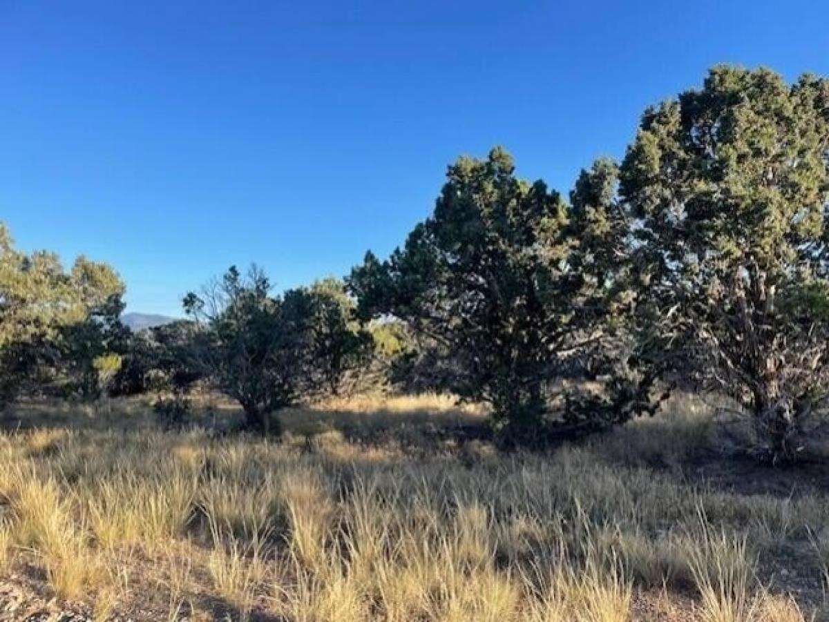 Picture of Residential Land For Sale in Beaver, Utah, United States