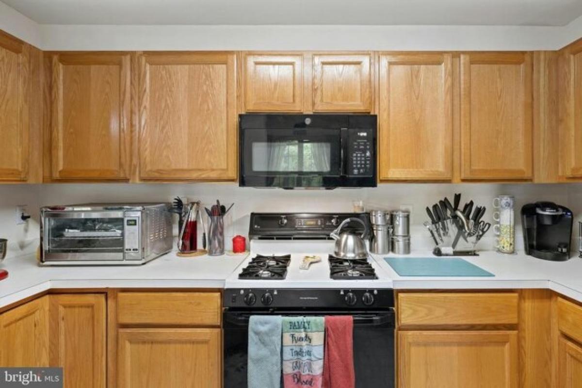 Picture of Apartment For Rent in Alexandria, Virginia, United States