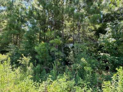 Residential Land For Rent in Graceville, Florida