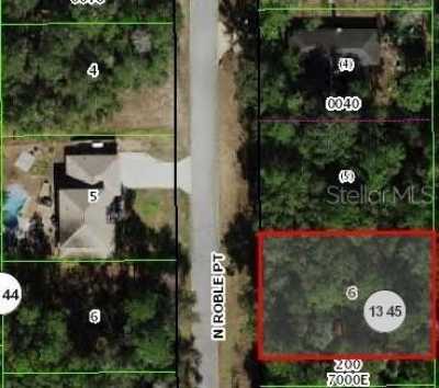 Residential Land For Sale in Citrus Springs, Florida