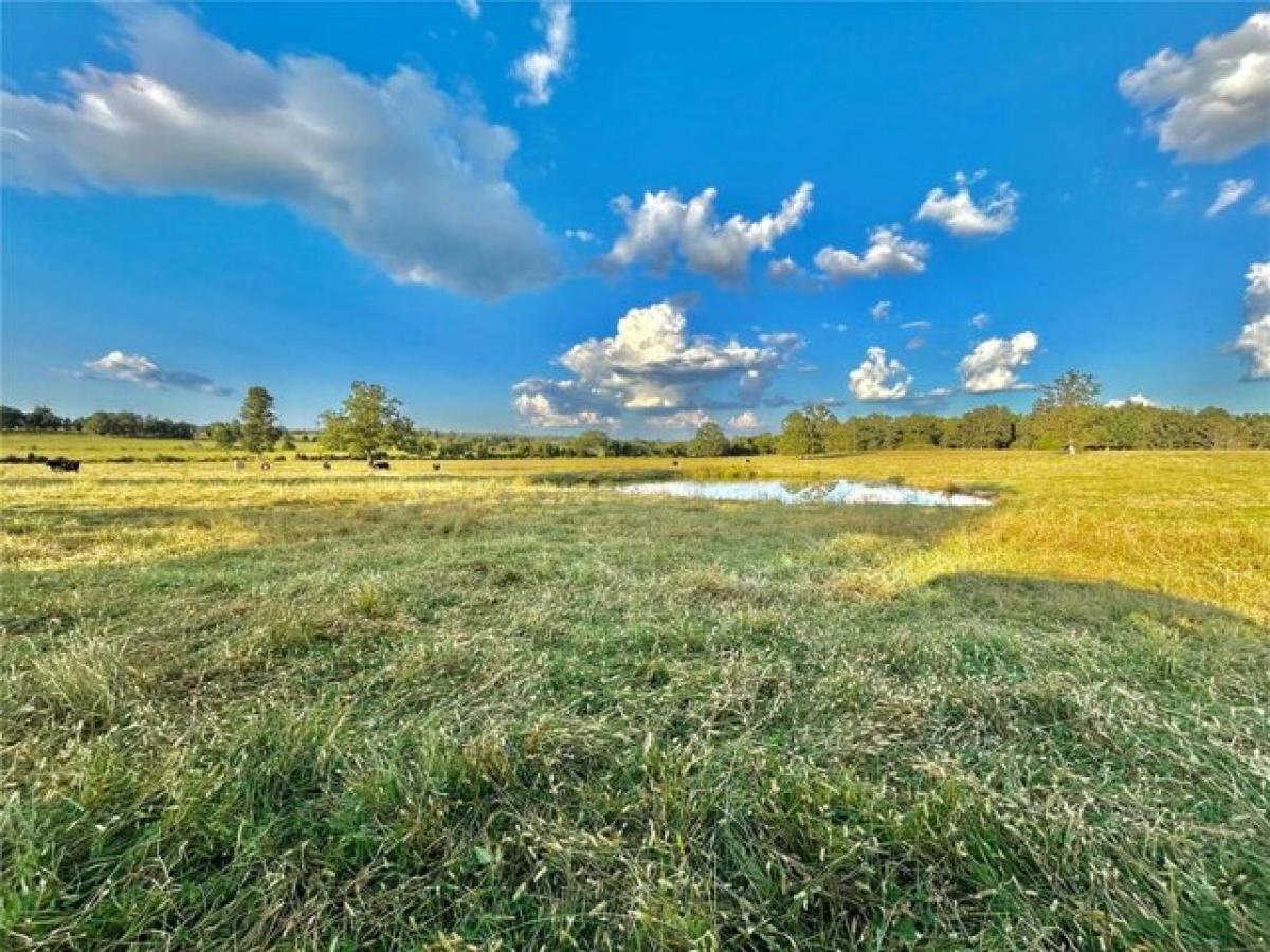 Picture of Residential Land For Sale in Summersville, Missouri, United States