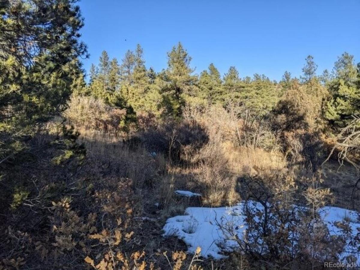 Picture of Residential Land For Sale in Weston, Colorado, United States