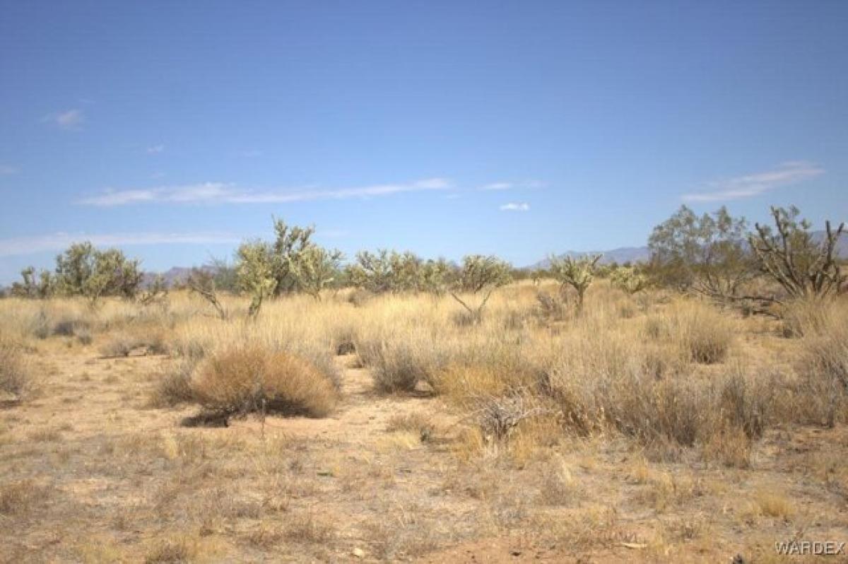 Picture of Residential Land For Sale in Golden Valley, Arizona, United States