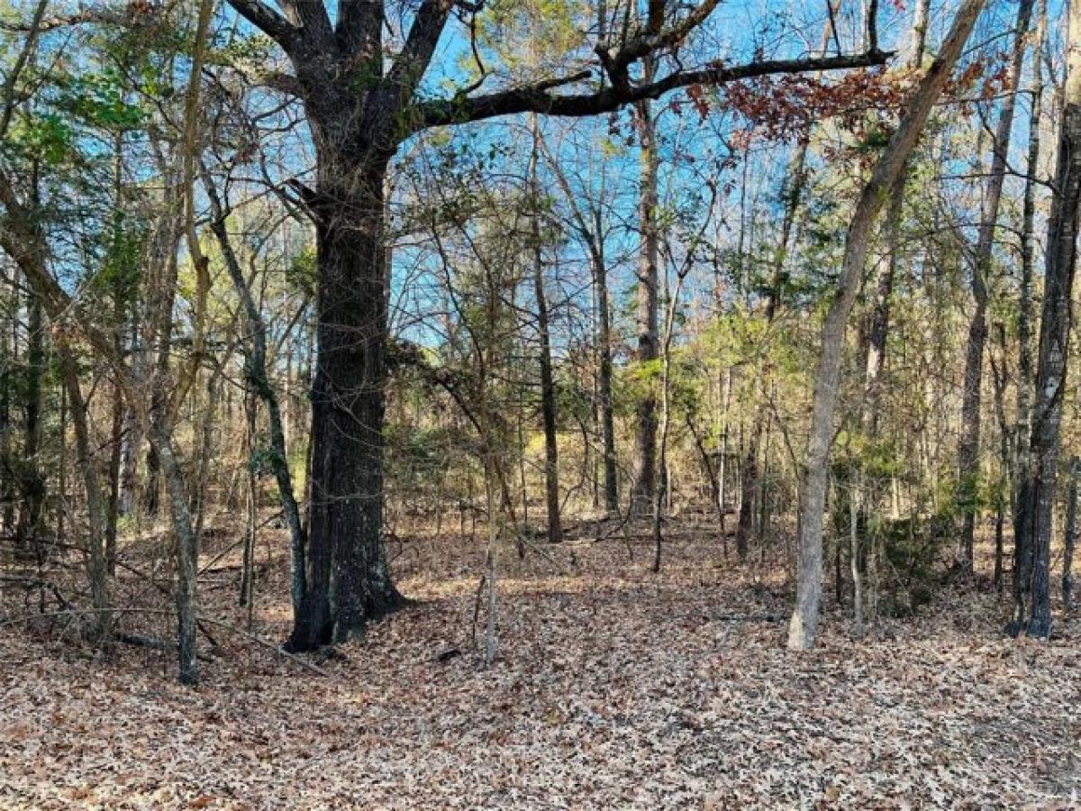 Picture of Residential Land For Sale in Mount Vernon, Texas, United States